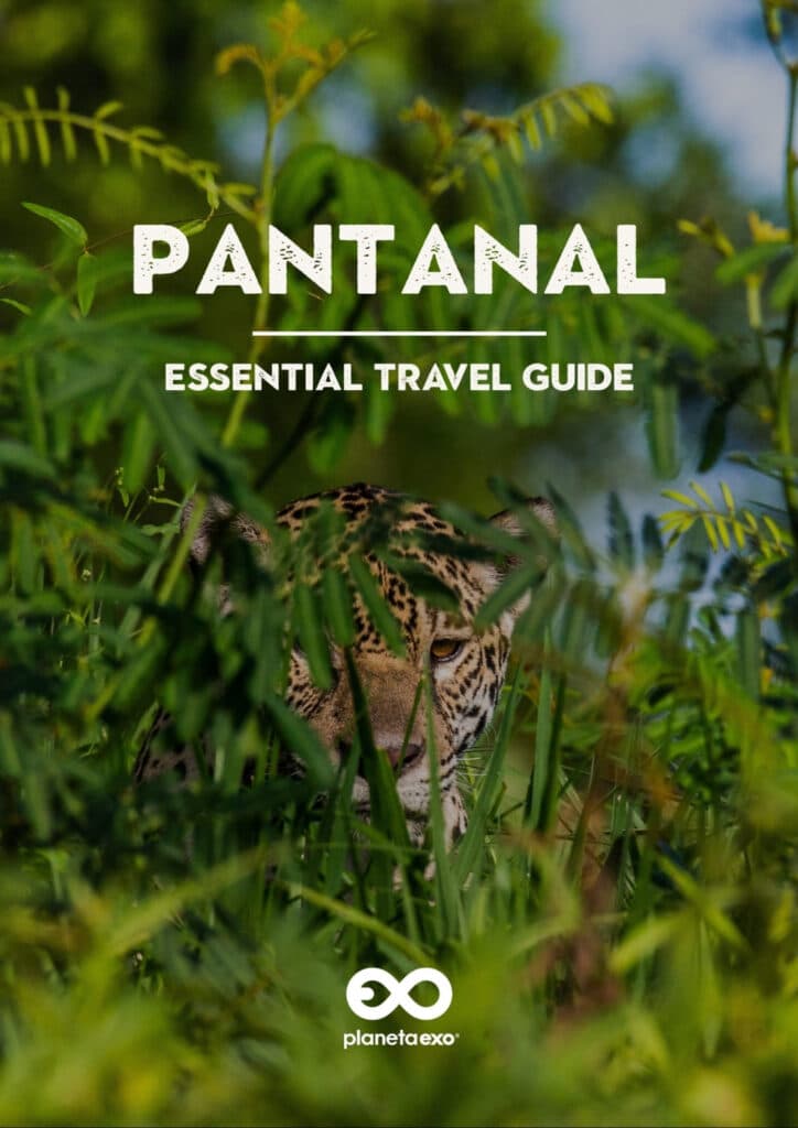 Cover des eBooks Reiseführer Pantanal