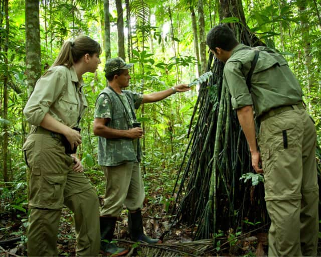 How to Visit the Amazon Rainforest in Brazil – Travel Guide