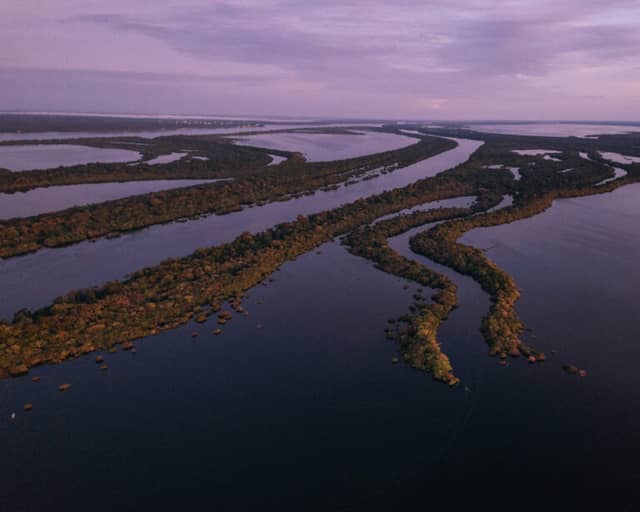 Anavilhanas National Park, the archipelago of the Amazon in Brazil