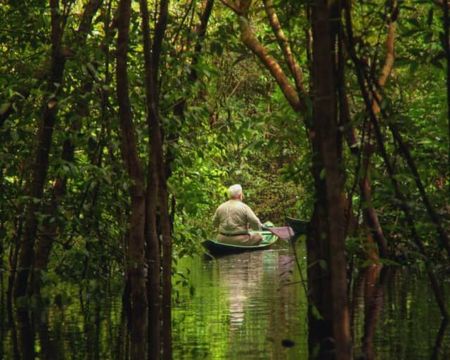 10 Amazon Rainforest Travel Tips to Make the Most of your Adventure