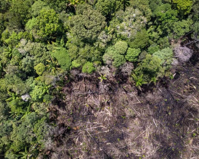 Journée de la protection des forêts : Rencontre avec 7 gardiens de la forêt amazonienne