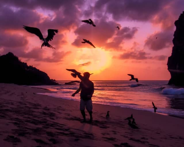 Die 15 besten Ökotourismus-Reiseziele in Brasilien, die Sie 2026 erkunden sollten