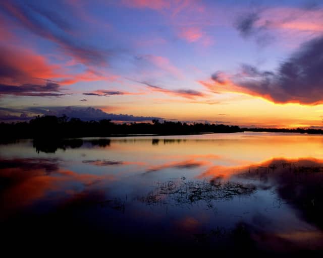 Jaú National Park: In the heart of the Amazon, Brazil