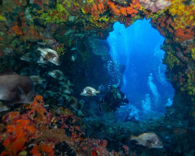 10 interesting facts about Fernando de Noronha that you need to know
