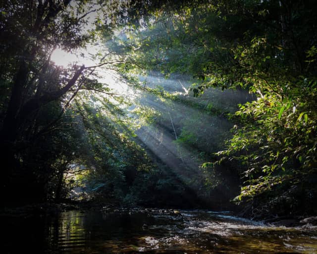 Best Places to Visit in the Amazon, Brazil