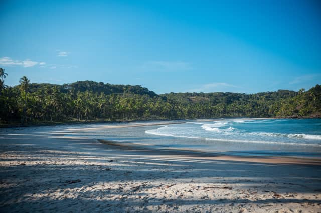 Praia deserta de areia branca em um passeio por Itacaré, com ondas suaves do Atlântico e uma densa barreira de coqueiros e Mata Atlântica sob um céu azul cristalino