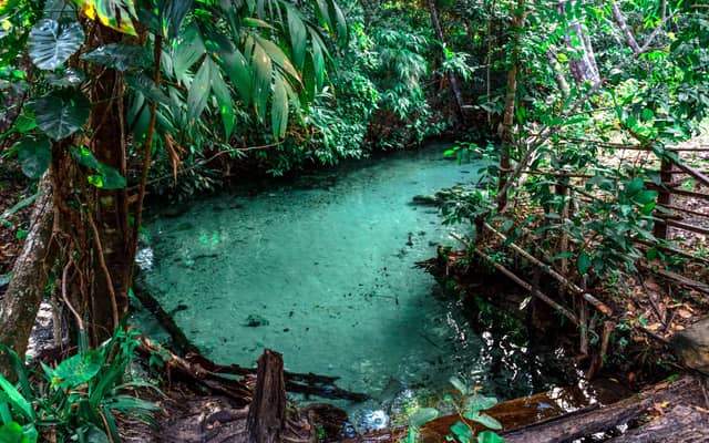 A turquoise fervedouro spring pool surrounded by dense tropical forest in Jalapão tours' signature landscape, with crystal-clear water bubbling up through the sandy floor