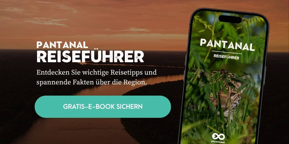 Kostenloses E-Book: Reiseführer Pantanal
