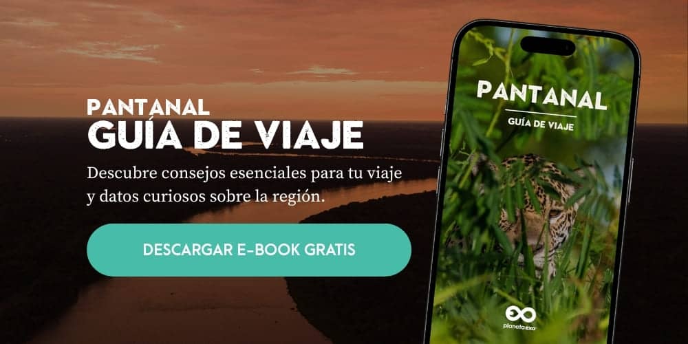 E-book gratuito: guía de viaje del Pantanal