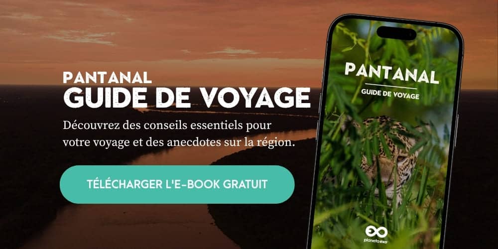 E-book gratuit : guide de voyage du Pantanal