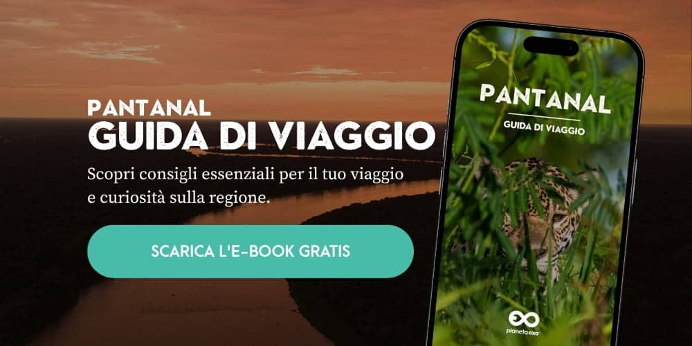 E-book gratuito: guida di viaggio del Pantanal