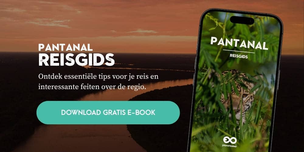 Gratis e-book: reisgids Pantanal