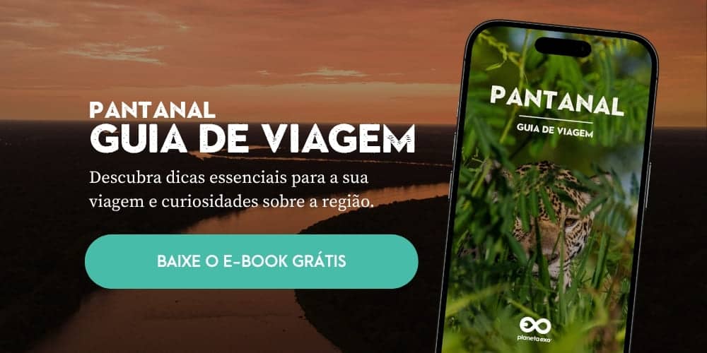 E-book gratuito: guia de viagem do Pantanal