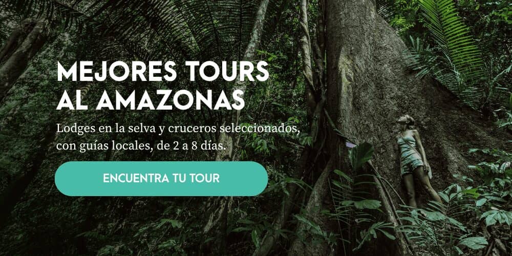 Mejores tours al Amazonas: lodges en la selva y cruceros con guías locales