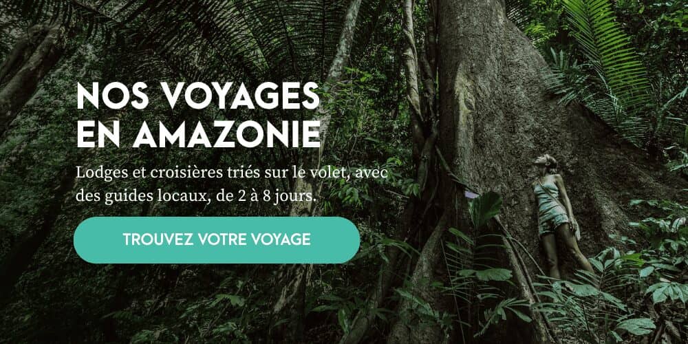 Voyages en Amazonie : lodges et croisières avec des guides locaux