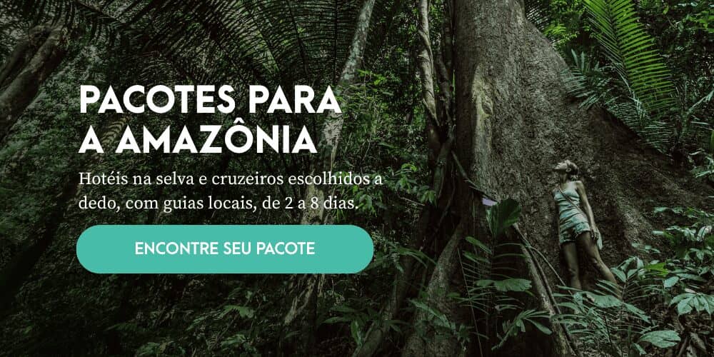 Pacotes para a Amazônia: hotéis na selva e cruzeiros com guias locais
