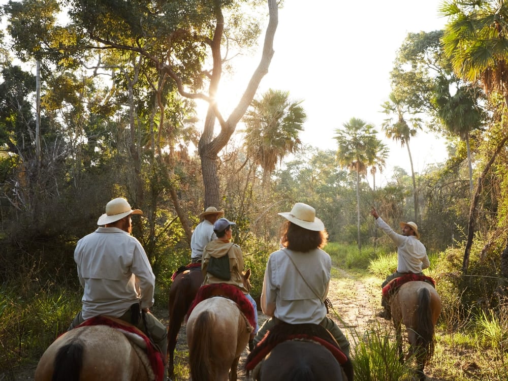 Um grupo de viajantes a cavalo liderados por um guia através de uma trilha na floresta iluminada pelo sol no Pantanal.