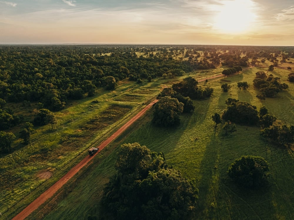 Um veículo de safári 4x4 dirigindo por uma estrada de terra através das exuberantes áreas úmidas do Pantanal, Brasil.