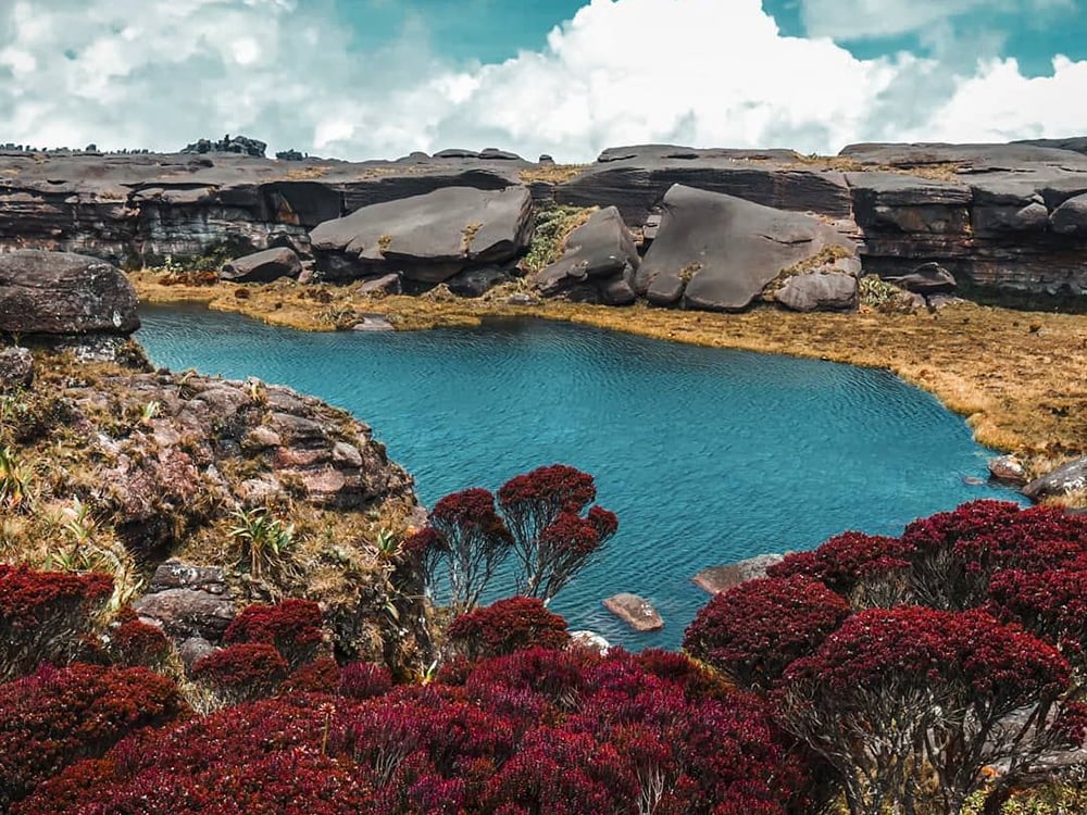 Lac Gladys - Le plus grand lac du plateau du mont Roraima