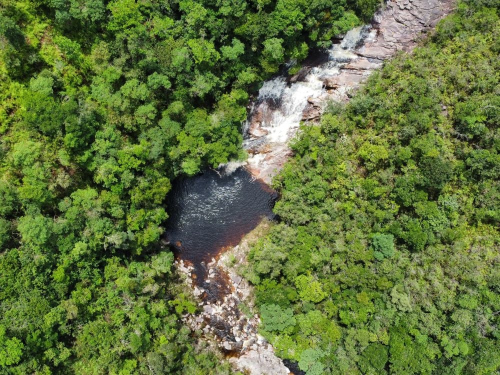 Vista aérea das águas escuras do Poço da Árvore, uma serena piscina natural cercada por uma vegetação verde e exuberante.