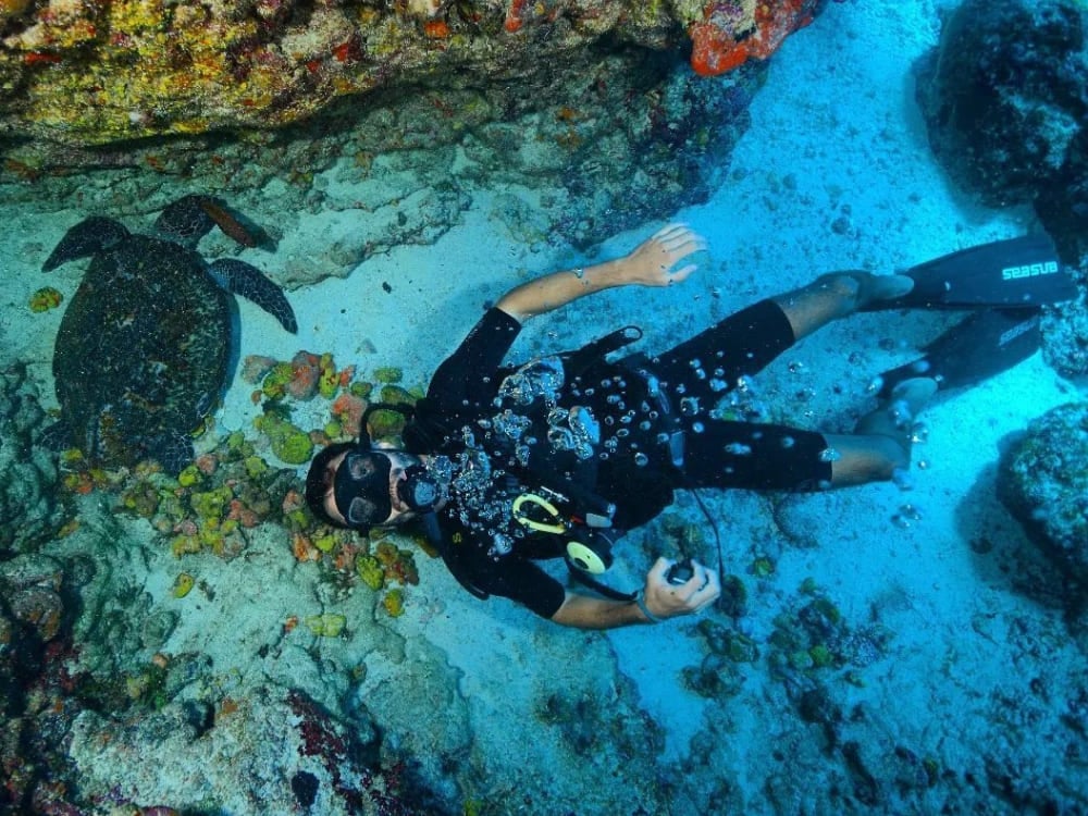 Um iniciante em um mergulho de batismo flutua com segurança perto do fundo do oceano enquanto uma tartaruga marinha nada pelo recife de corais em Fernando de Noronha.