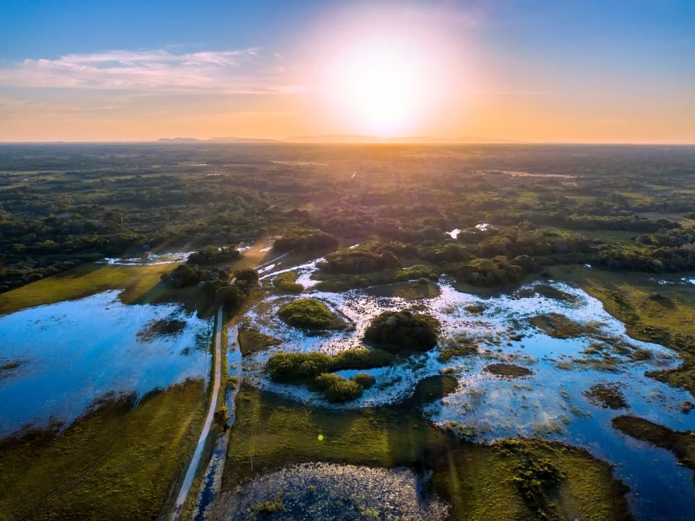Uma vista aérea captura os vastos pântanos e lagoas do Pantanal iluminados por um pôr do sol.