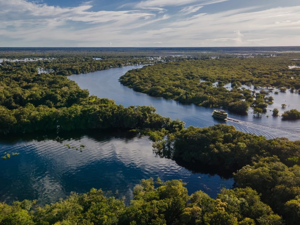 Aerial view of a winding blue river flowing through the lush green Amazon Rainforest near Manaus.