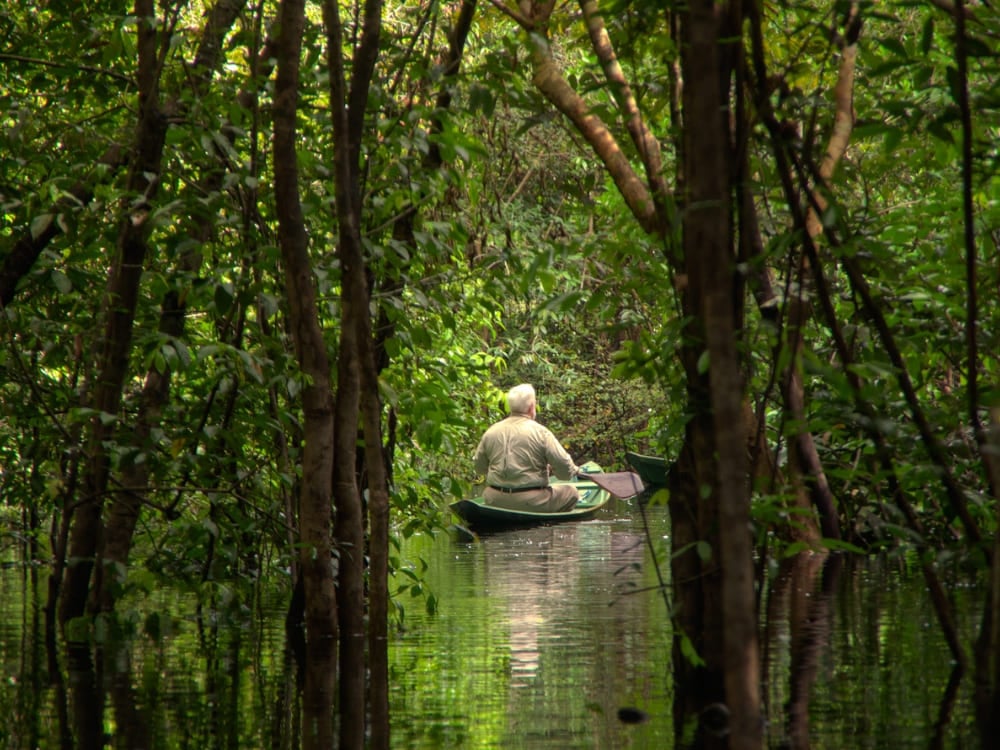 Um viajante rema uma pequena canoa de madeira por um rio inundado de águas escuras na Amazônia.