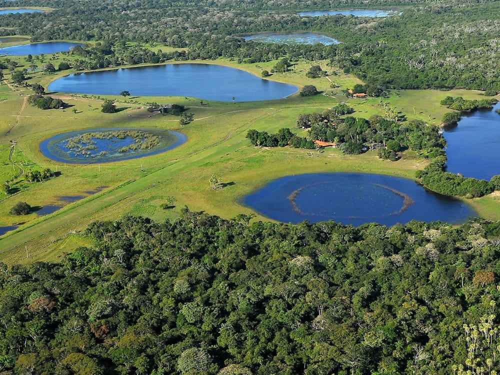 Vue aérienne montrant les lacs naturels époustouflants et les zones humides verdoyantes entourant la ferme Barranco Alto.