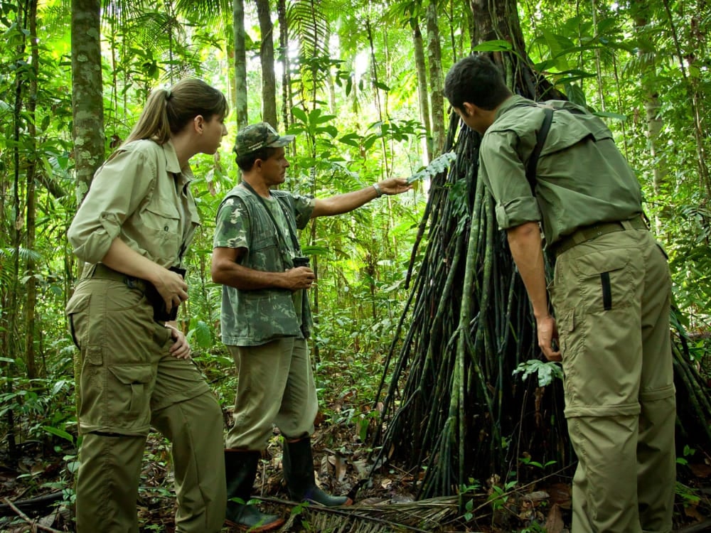 Een lokale gids geeft uitleg over inheemse flora aan een groep wandelaars die door de dichte Amazone-jungle trekt.