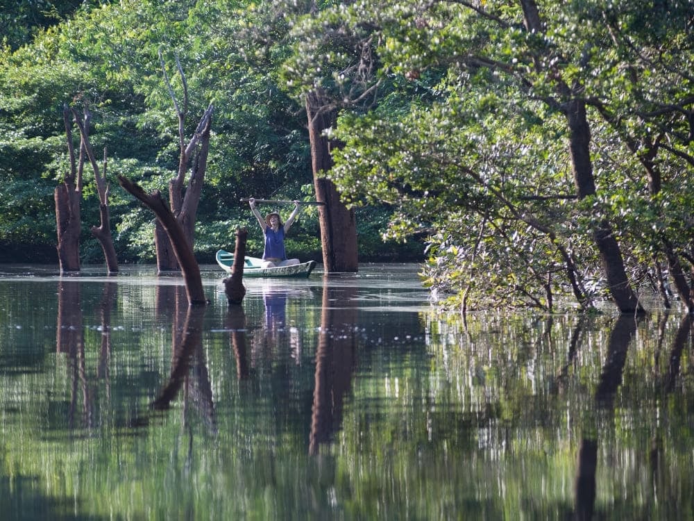 Canoë naviguant à travers la forêt inondée (igapó) pendant la saison des pluies en Amazonie, entouré d'arbres se reflétant dans l'eau.