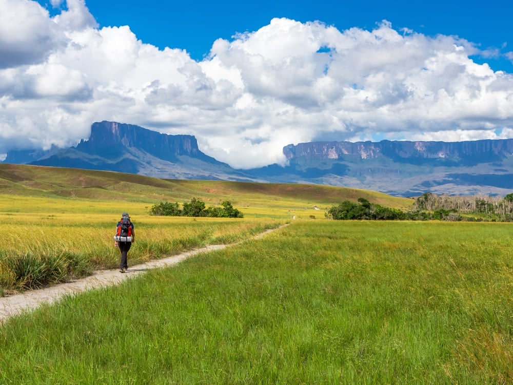 Een backpacker wandelt op een pad door een grasachtige savanne richting de majestueuze tafelberg Mount Roraima.