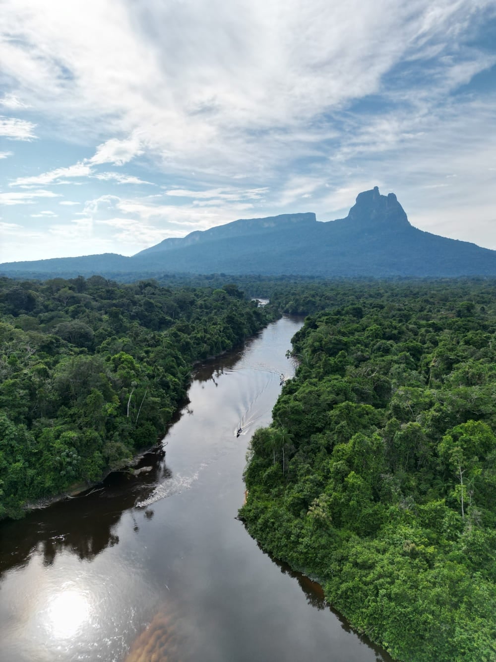 Vista aérea de um rio escuro serpenteando pela vasta Floresta Amazônica, com o Pico da Neblina ao fundo.