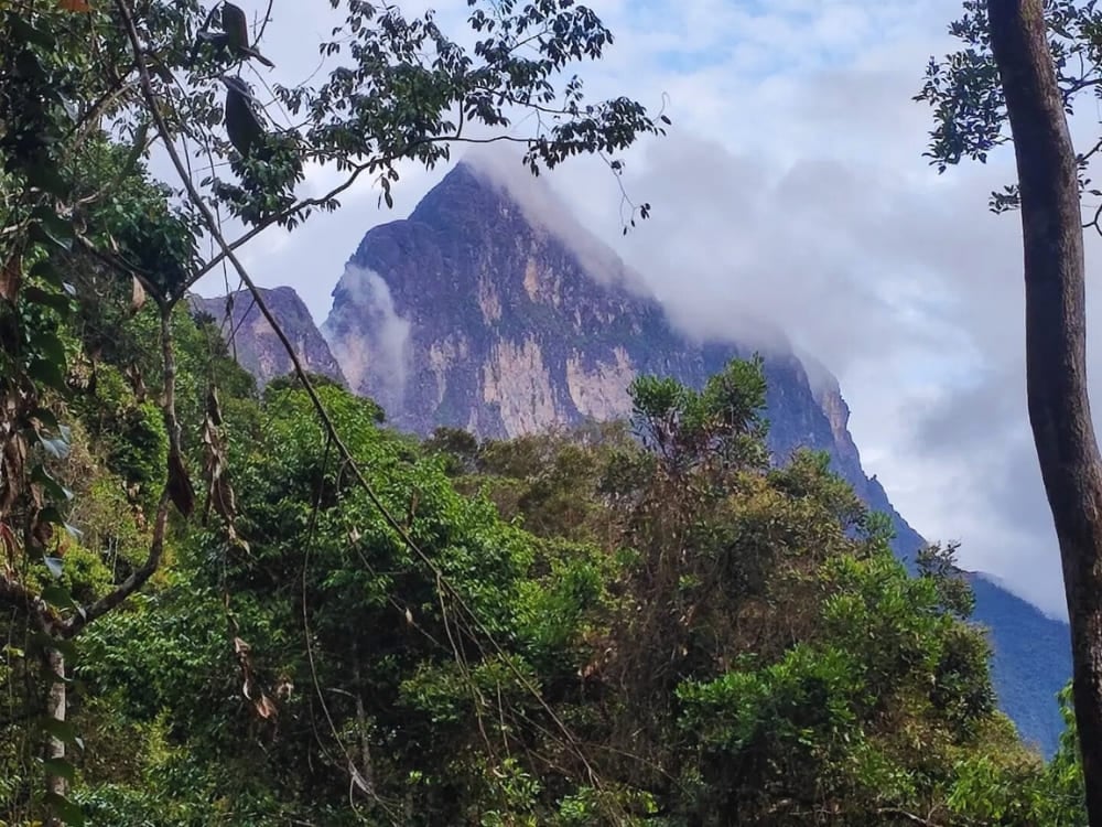 A imponente montanha do Pico da Neblina vista através da densa e exuberante copa verde da Floresta Amazônica.