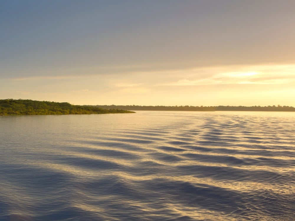 Foto tirada de dentro do Rio Amazonas com o sol brilhando na água.