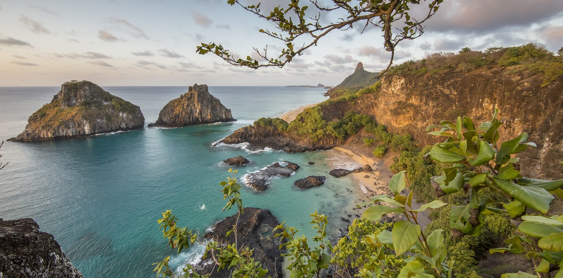 Guia de Mergulho em Fernando de Noronha para 2026