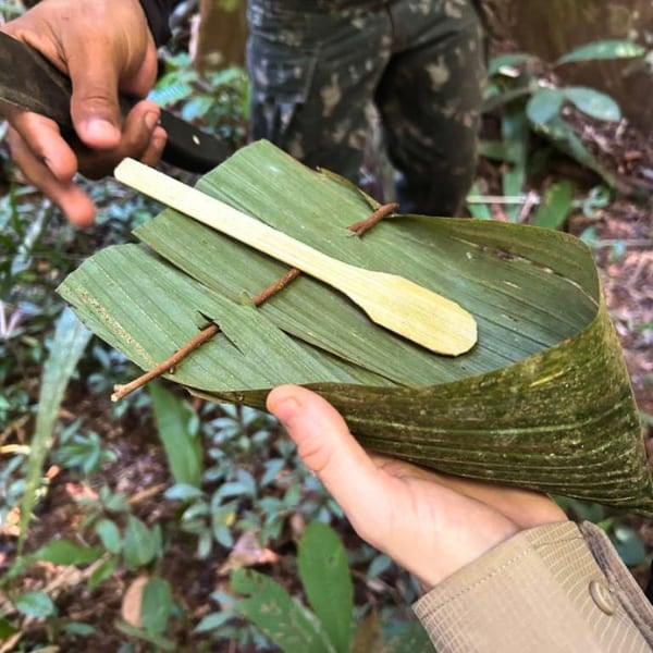 Guide showing a plate and spoon carved from a palm leaf during a jungle walk in the Amazon