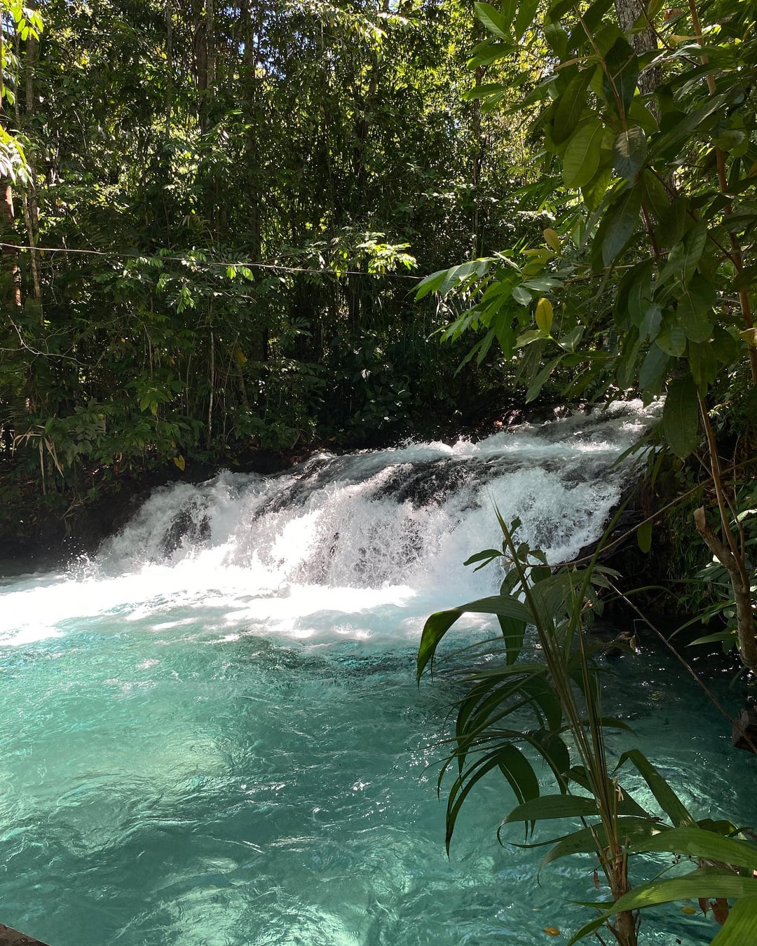 @_leledias Cachoeira da Formiga Jalapão