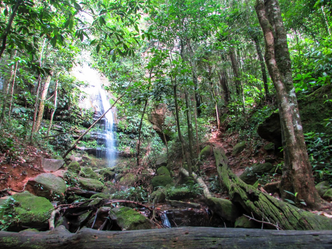 Geniet van de sensatie van het glijden van natuurlijke rotsglijbanen en zwemmen in de verfrissende poelen van deze prachtige waterval. Foto: @vamostrilhar Rondleidingen door het Jalapão State Park