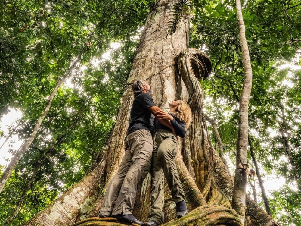Amazonas-Regenwald – Foto: MkExpedition @mkexpeditions Amazonas - Die 7 besten Reiseziele für Ökotourismus in Brasilien im Jahr 2024