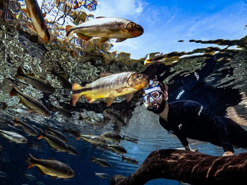 Bonito – Photo: Iago Bernardo @iagobernardo Bonito - Die 7 besten Reiseziele für Ökotourismus in Brasilien im Jahr 2024