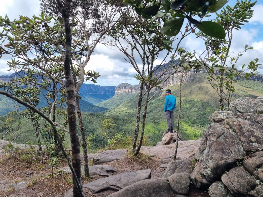 Ein Wanderer in einer blauen Jacke steht auf einem Felsen, umrahmt von Bäumen, und blickt auf einen Tafelberg in der Ferne. Ein Wanderer in einer blauen Jacke steht auf einem Felsen, umrahmt von Bäumen, und blickt auf einen Tafelberg in der Ferne.