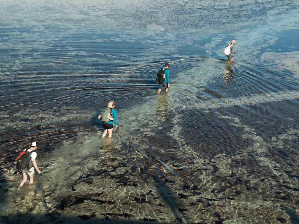Um grupo de viajantes atravessa uma lagoa rasa enquanto cruza o parque nacional a pé. Um grupo de viajantes atravessa uma lagoa rasa enquanto cruza o parque nacional a pé.