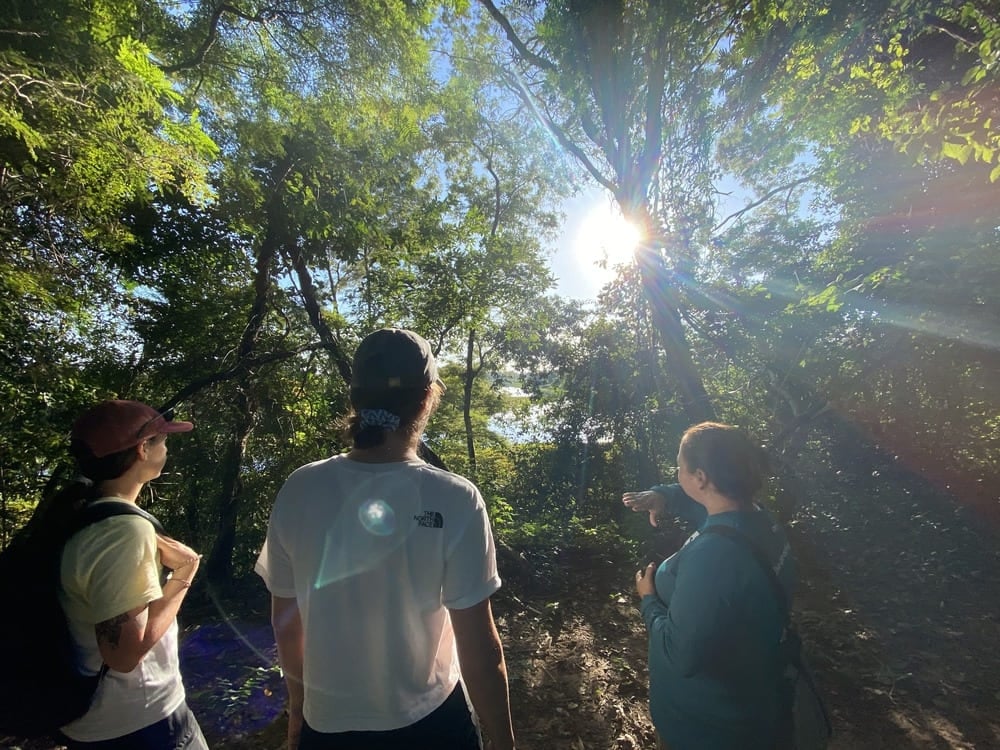 Três viajantes guiados por um caminho de floresta densa com a luz do sol filtrando através das árvores no Pantanal. Três viajantes guiados por um caminho de floresta densa com a luz do sol filtrando através das árvores no Pantanal.
