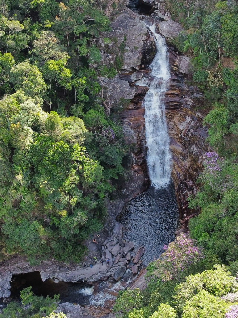 Uma vista aérea de uma poderosa cachoeira caindo por rochas em degraus até um poço escuro, cor de chá, cercado por uma densa floresta verde. Uma vista aérea de uma poderosa cachoeira caindo por rochas em degraus até um poço escuro, cor de chá, cercado por uma densa floresta verde.