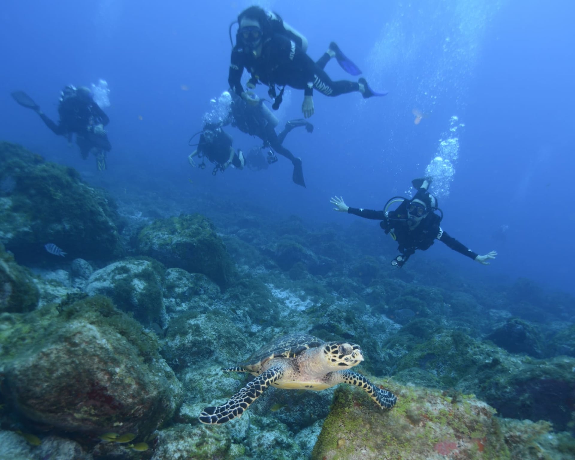 Eine Vater-Tochter-Expedition durch die Gewässer von Fernando de Noronha Eine Vater-Tochter-Expedition durch die Gewässer von Fernando de Noronha