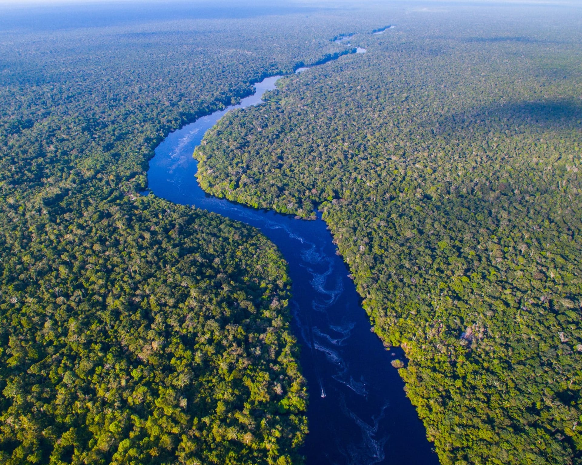 O Rio Amazonas no Brasil: Um Guia sobre o Maior Rio do Mundo O Rio Amazonas no Brasil: Um Guia sobre o Maior Rio do Mundo