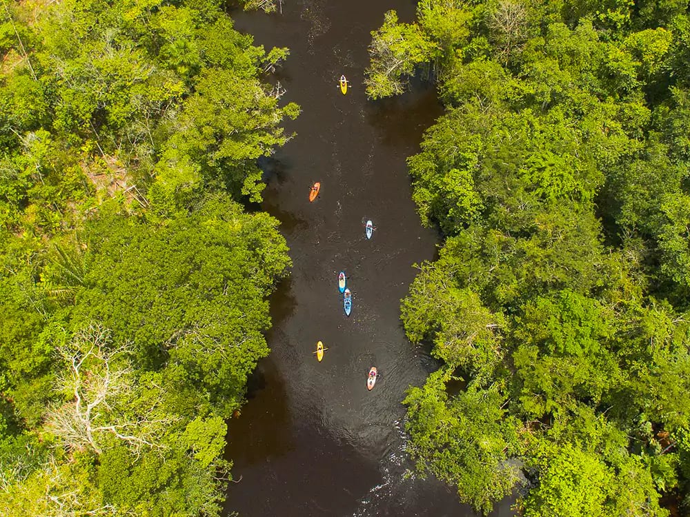 Vista aérea de um grupo de turistas andando de caiaque em um rio escuro da Amazônia, cercado por uma densa floresta verde. Vista aérea de um grupo de turistas andando de caiaque em um rio escuro da Amazônia, cercado por uma densa floresta verde.