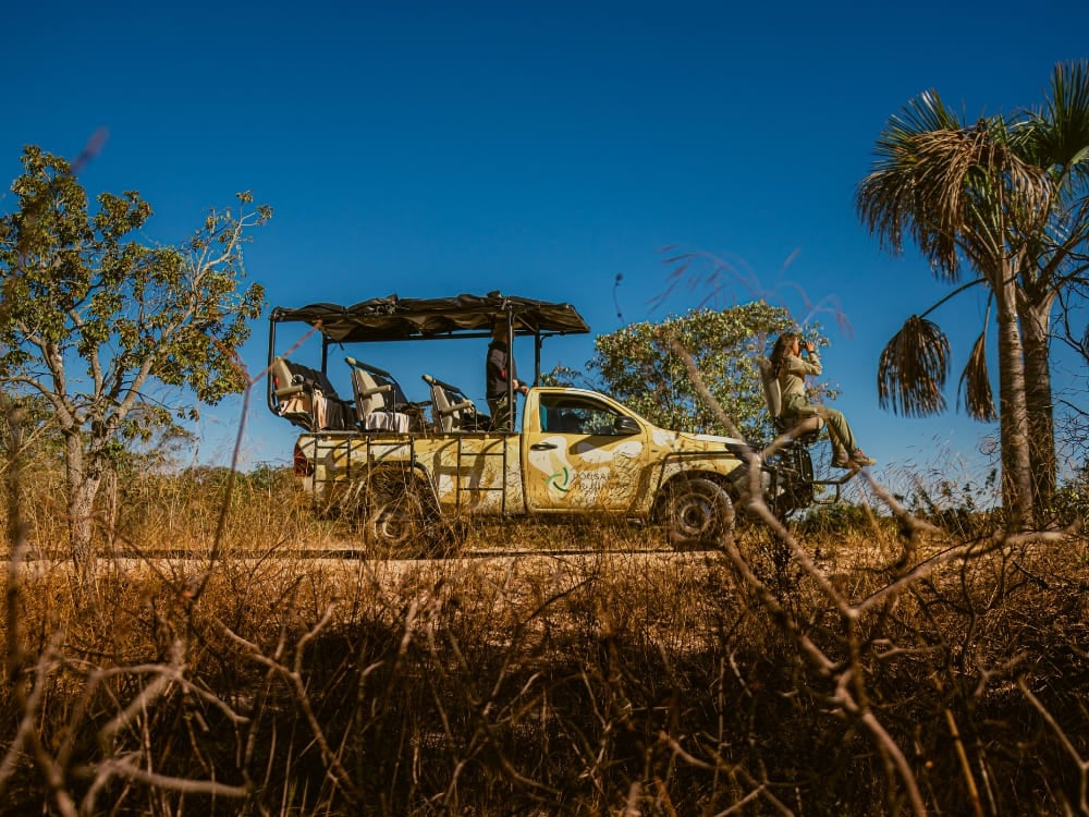 How to visit the Cerrado in Brazil? - Pousada Trijunção How to visit the Cerrado in Brazil? - Pousada Trijunção