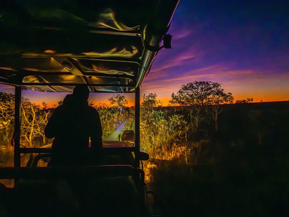 Night Safaris - Pousada Trijunção- How to visit the Cerrado in Brazil? Night Safaris - Pousada Trijunção- How to visit the Cerrado in Brazil?